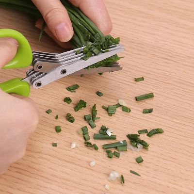 Ciseaux de Cuisine - MultiLayersScissor™ - Vert - Cuisine d'aujourd'hui